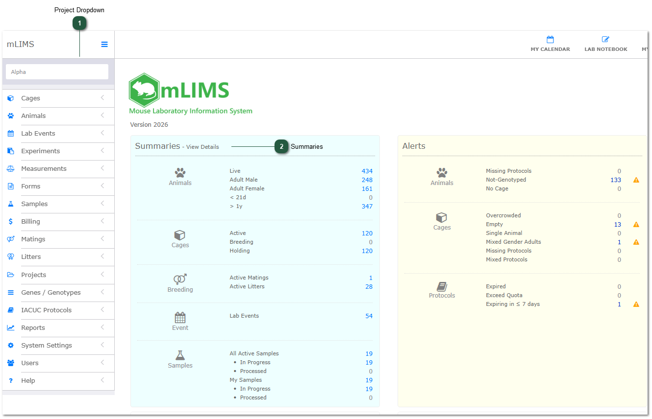 Project Dropdown Menu