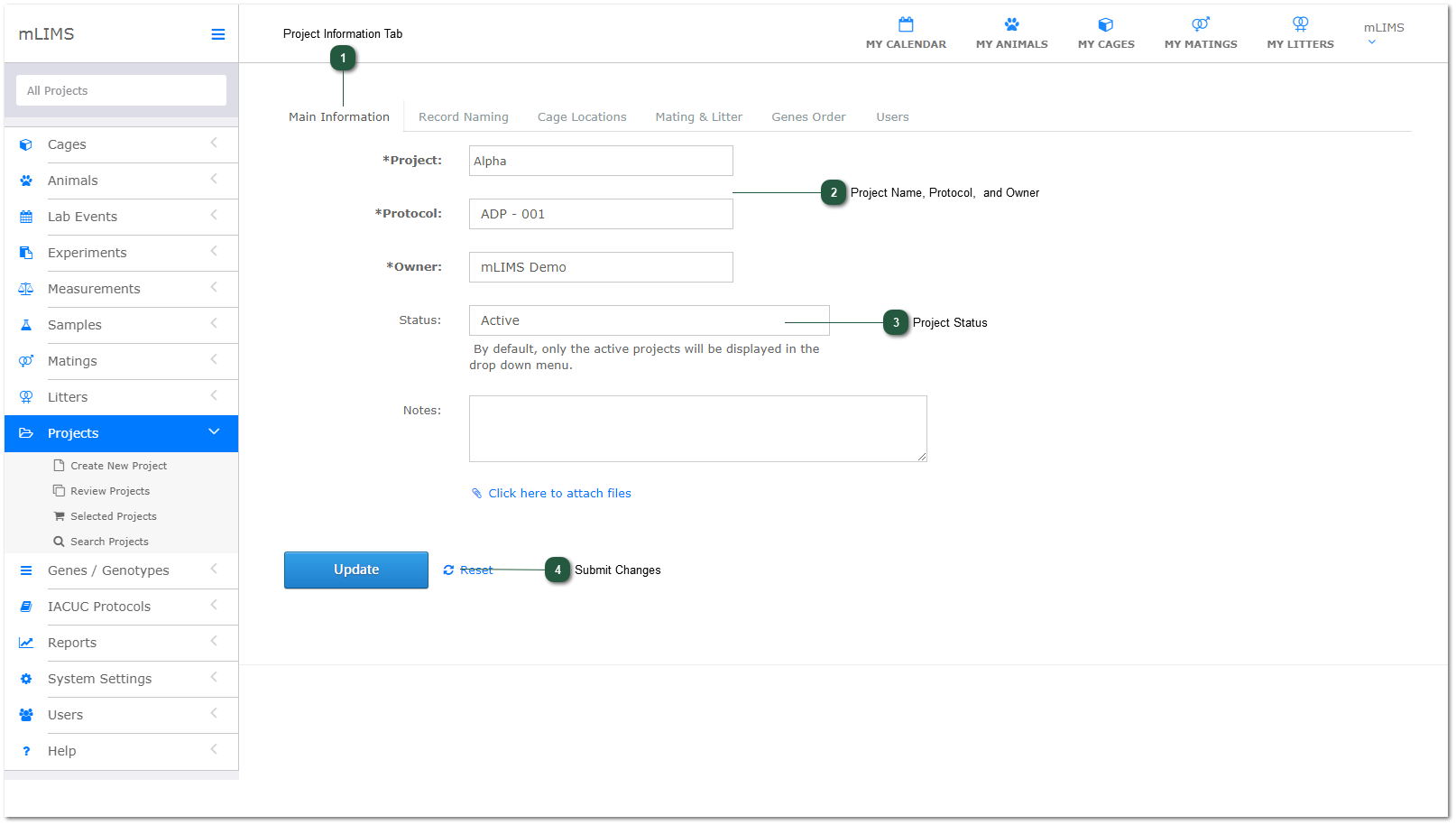 Project Information